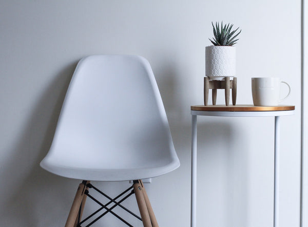Are Succulents Good For The Home?