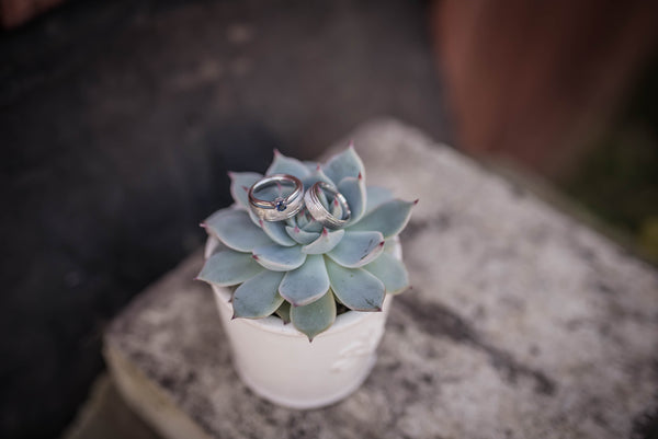 IDEAS FOR WEDDING DECORATIONS: 10 Reasons and Ways to Use Succulents for Weddings