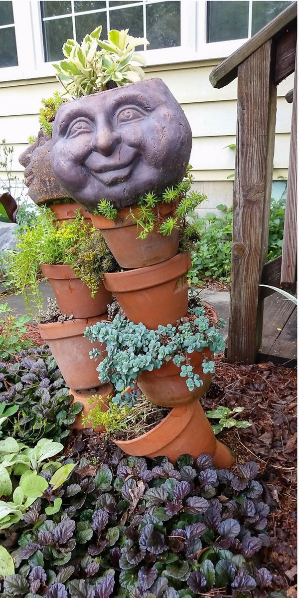 What’s the best pot for succulents?  How about a recycled container?