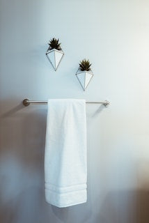 Best Succulents For Bathrooms