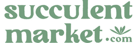 Succulent Market